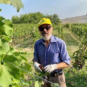 Maurizio Azzini Grignolino 2020