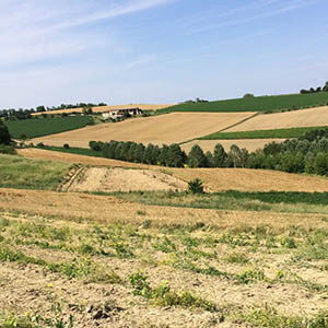 Panorama da pendio Frassinello M.to